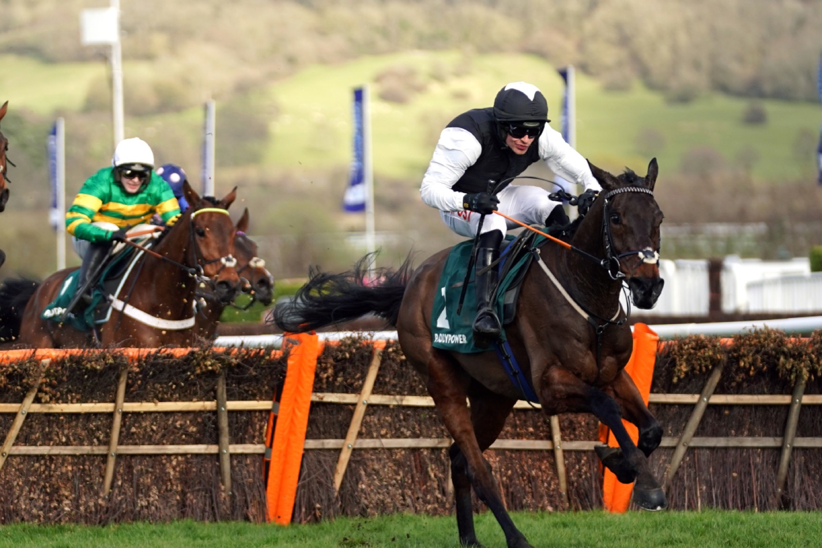 Flooring Porter '8020' to make Cheltenham Festival
